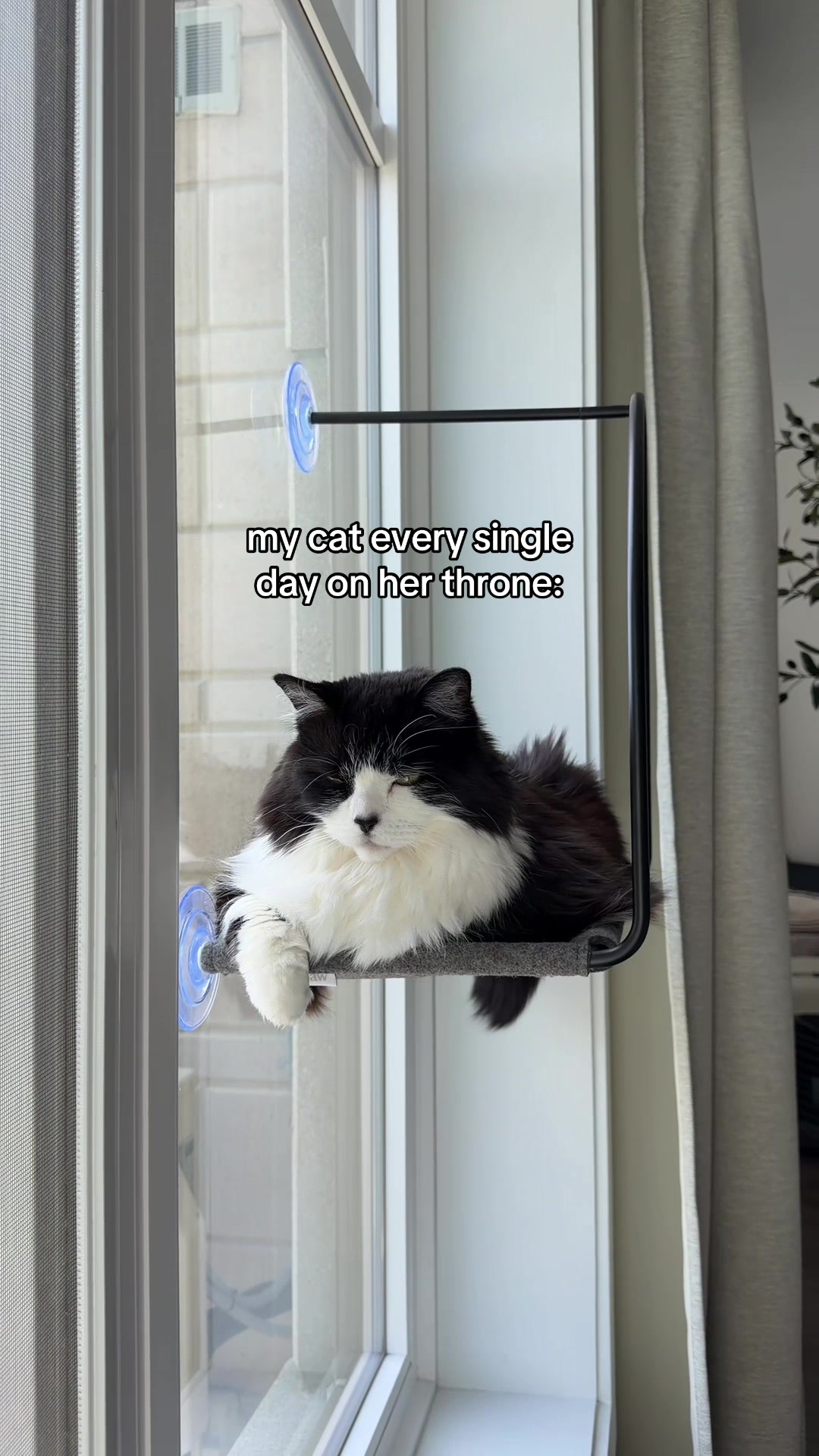 @Tuft & Paw