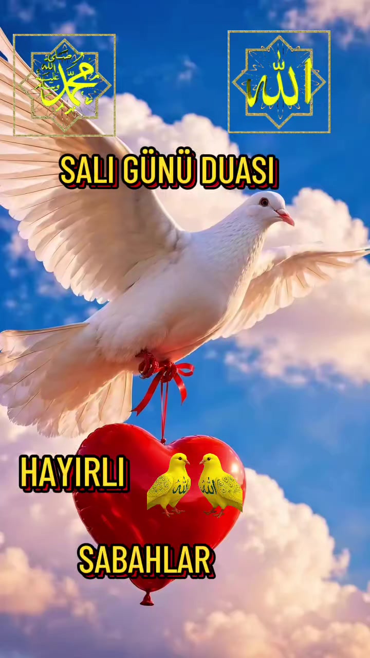 @aynur Kocakaya 280.🤲