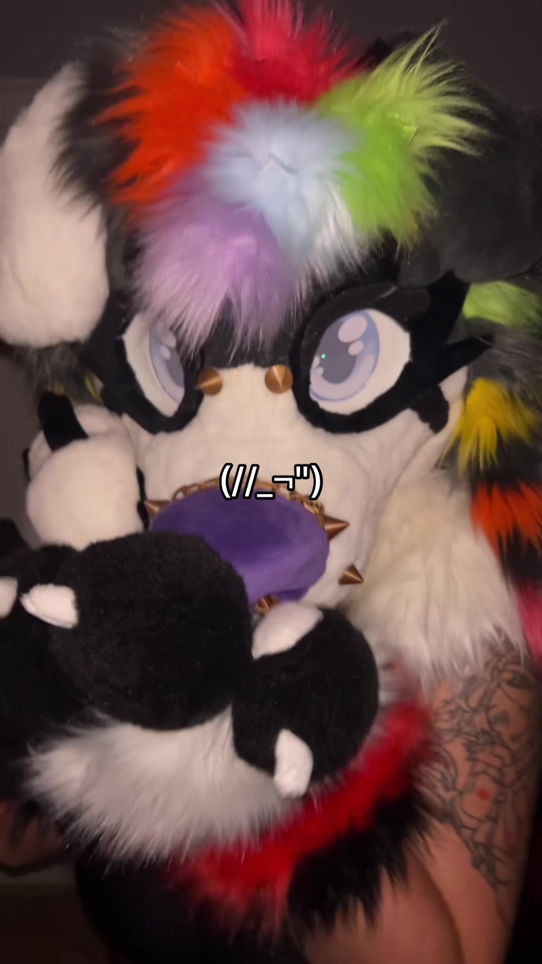 @🪽🌈 HOUND 🔜 MEGAPLEX 🐾