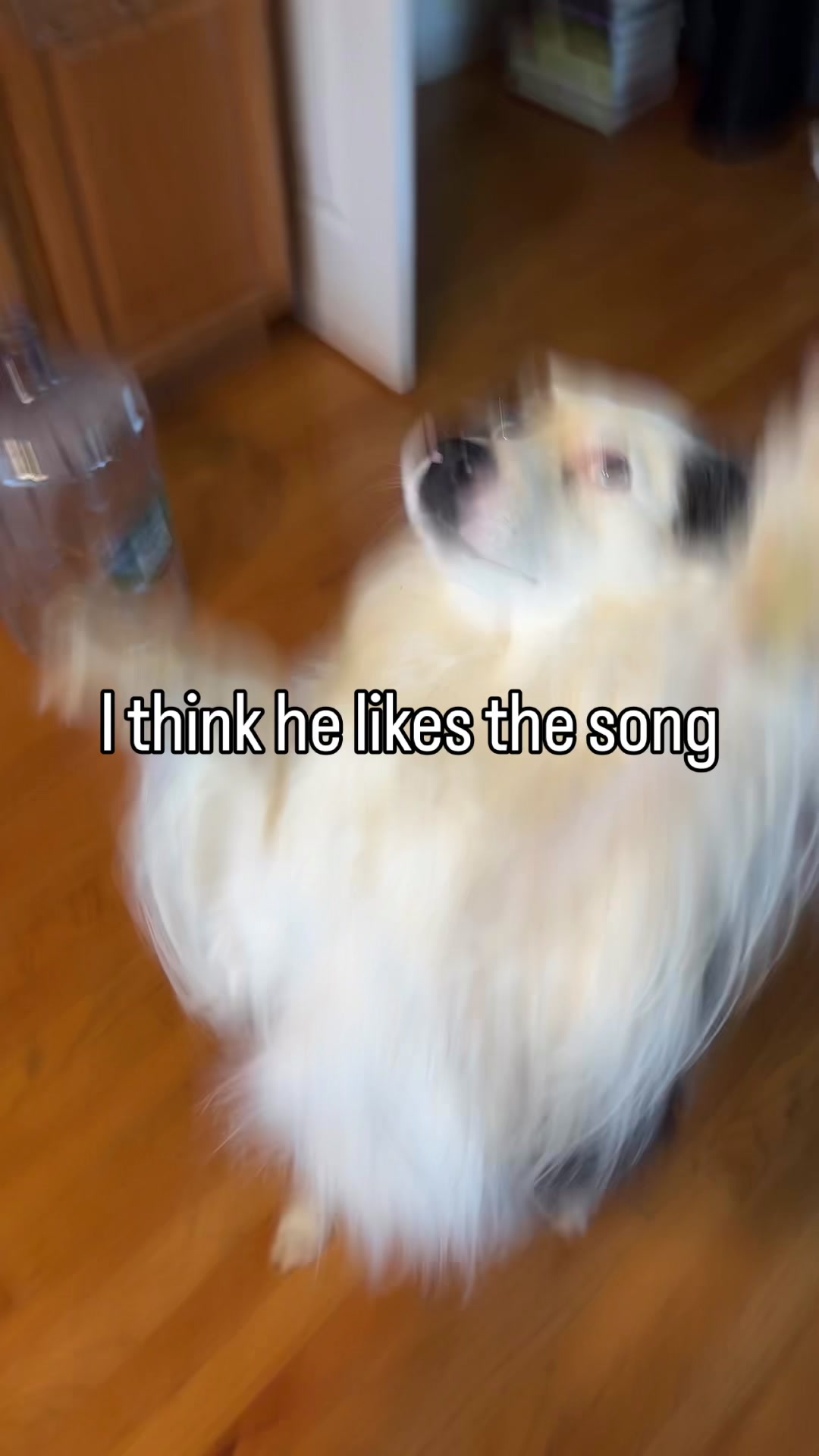 @Peter $parker