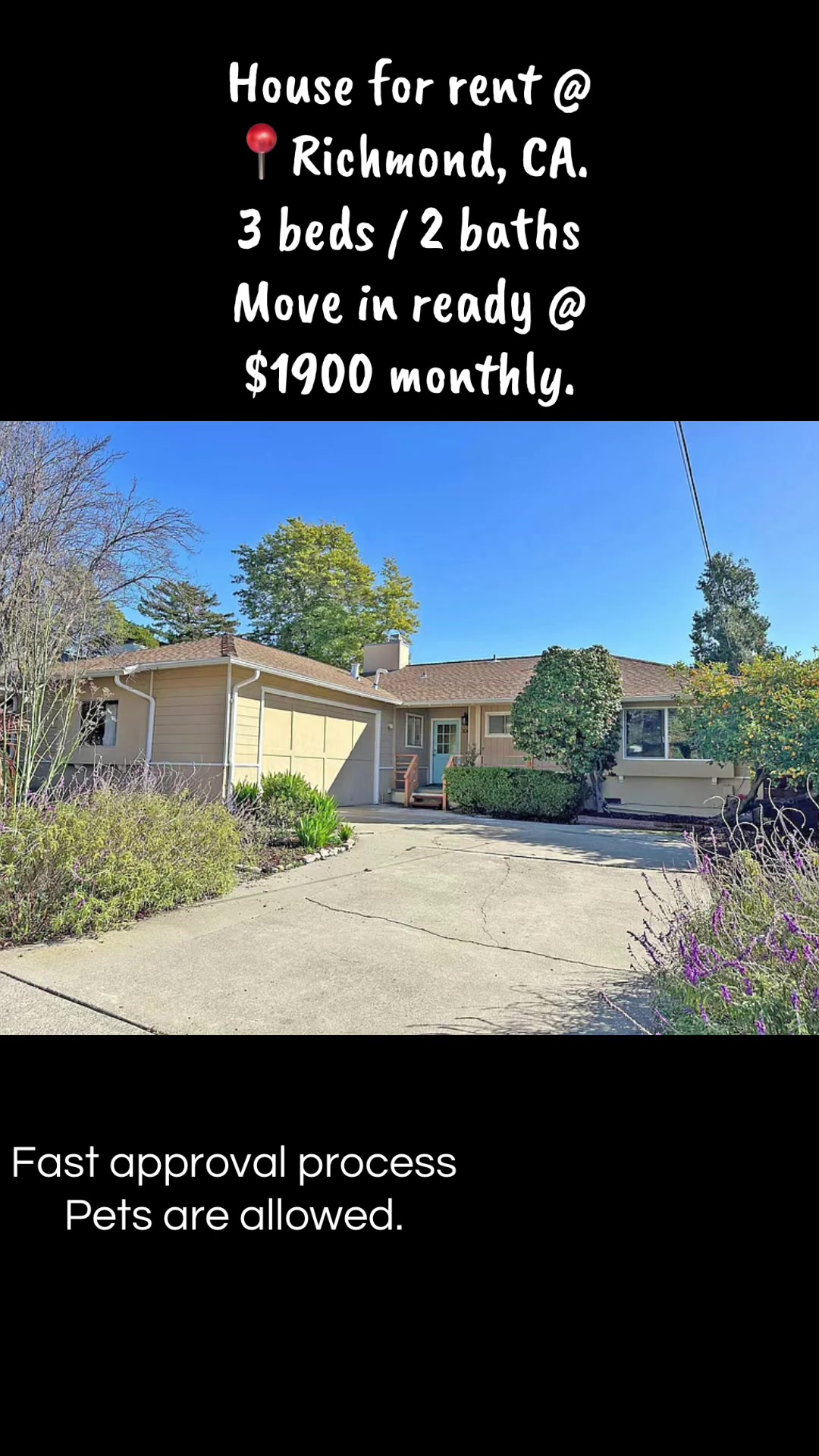 @Viktor Sandor | Realtor