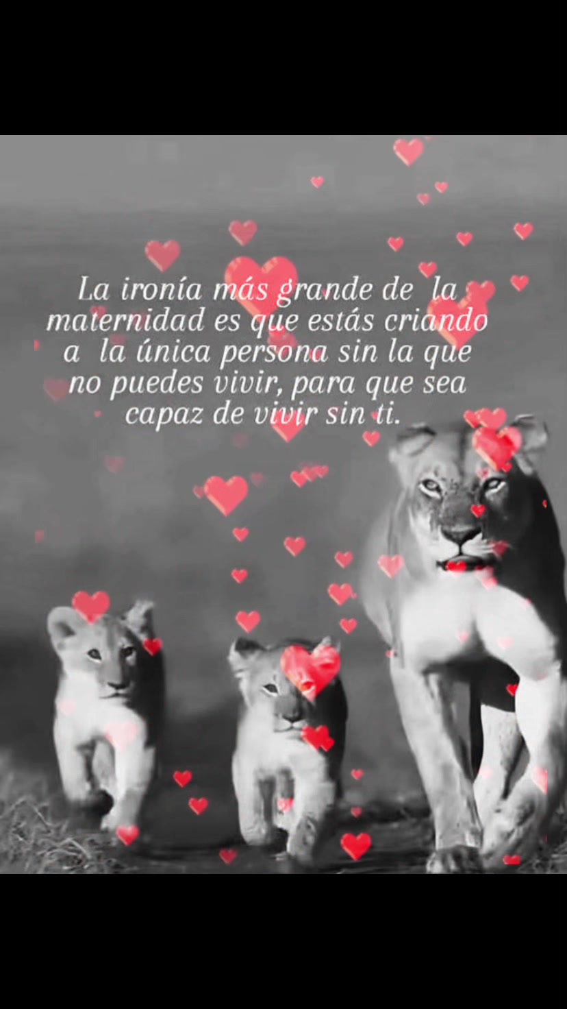 @Laura solís