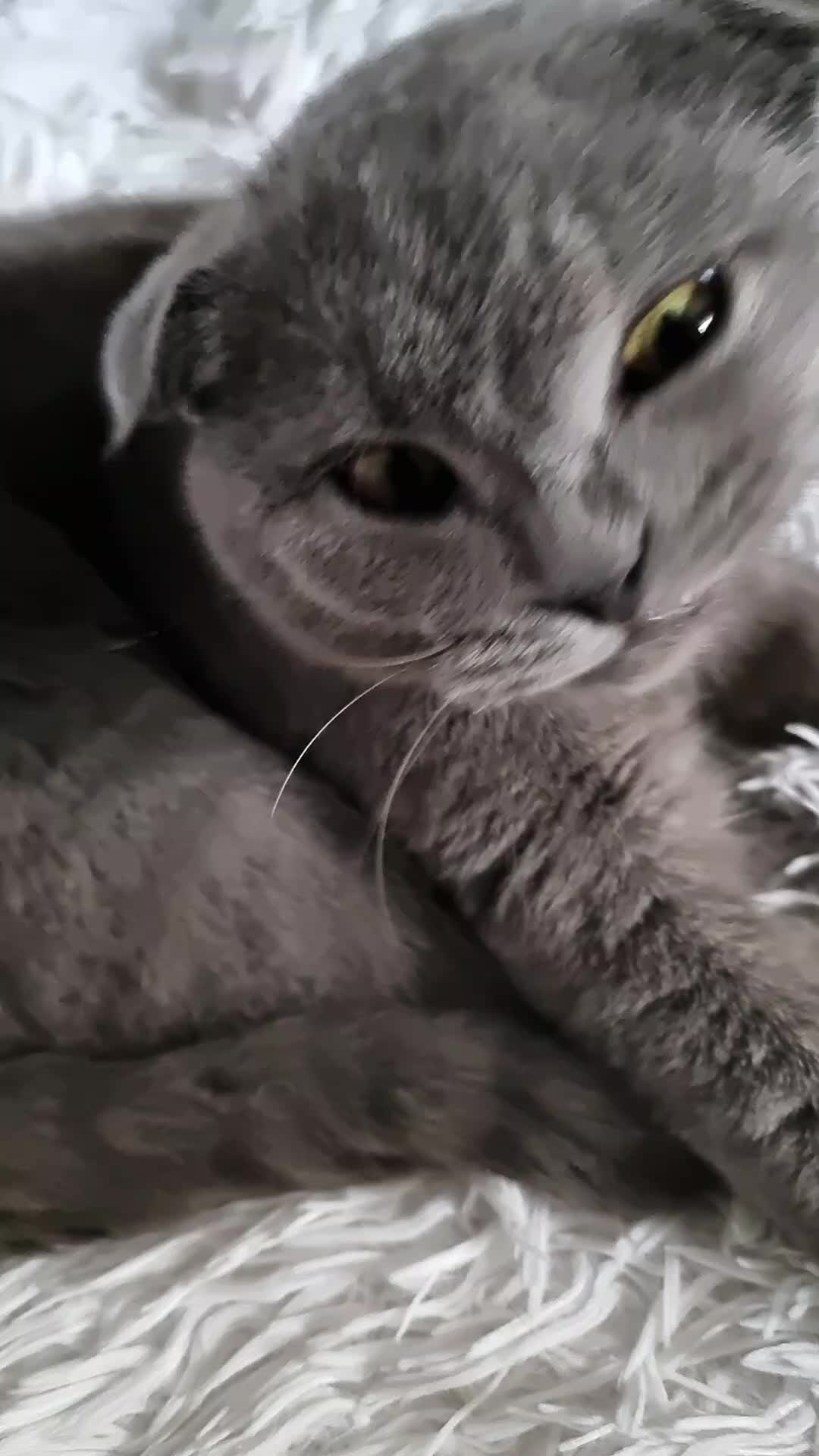 @танюшка