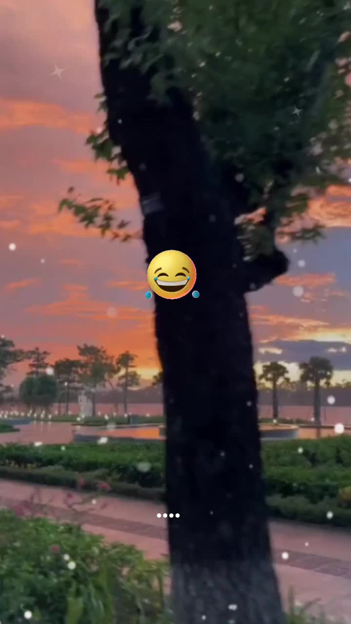 @moonight