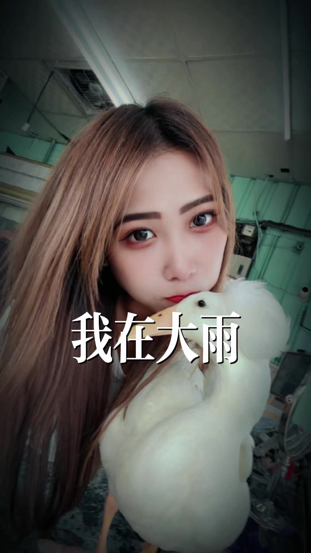 @榛榛