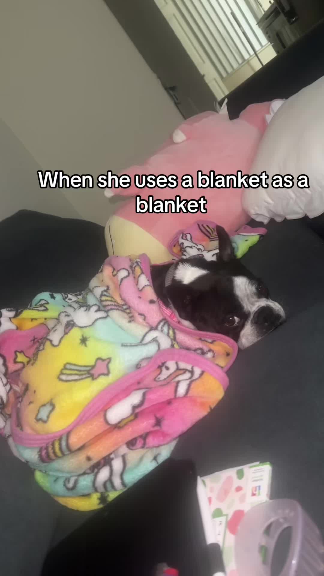 @Lexi