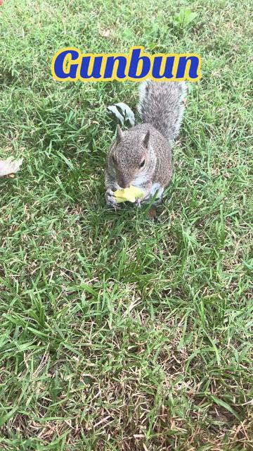 @Sarahsquirrels43🐿️