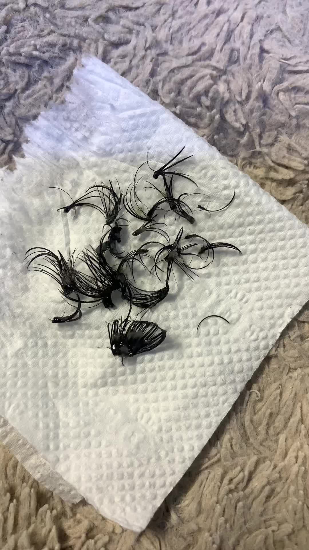 @extensionsdecils1