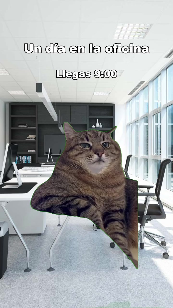 @Angel C.53