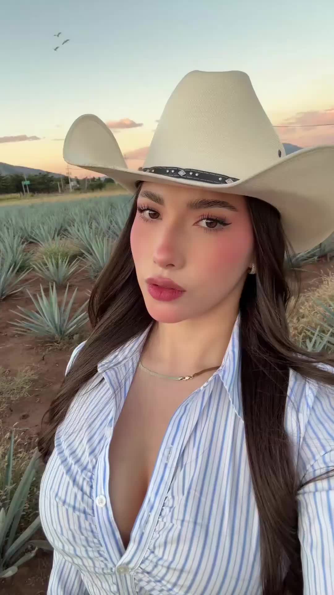 @arielprincess.102
