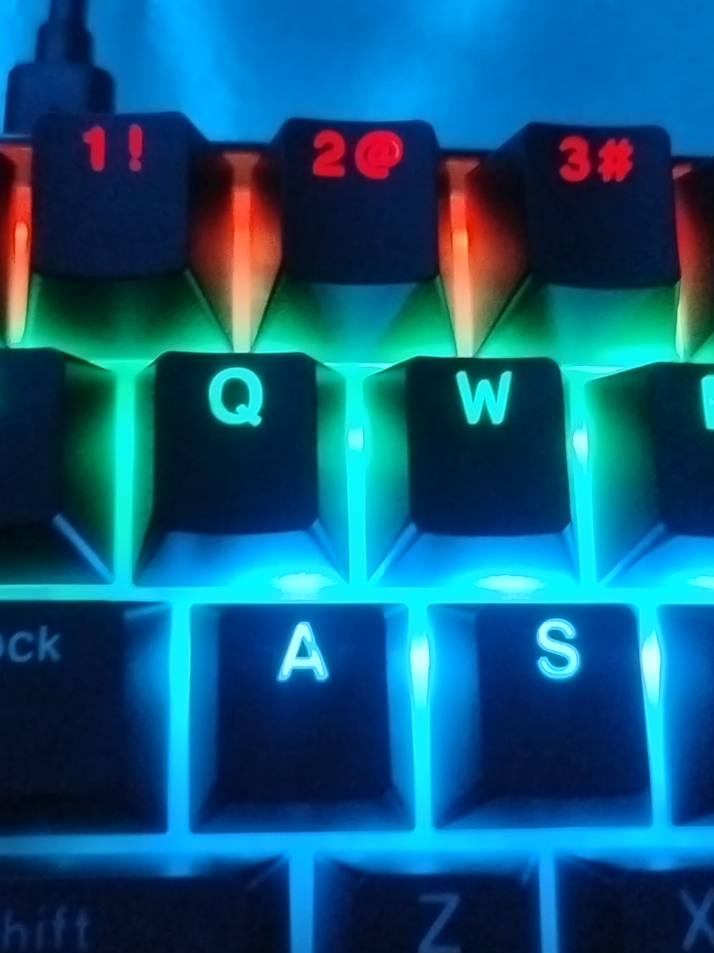 @$$ADAM$$
