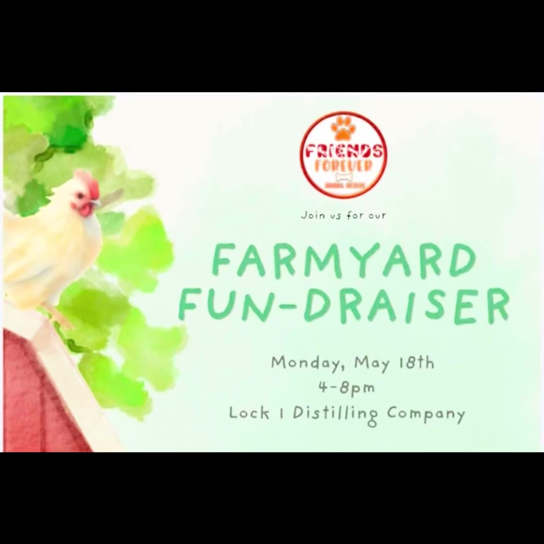 @Friends Forever Animal Rescue