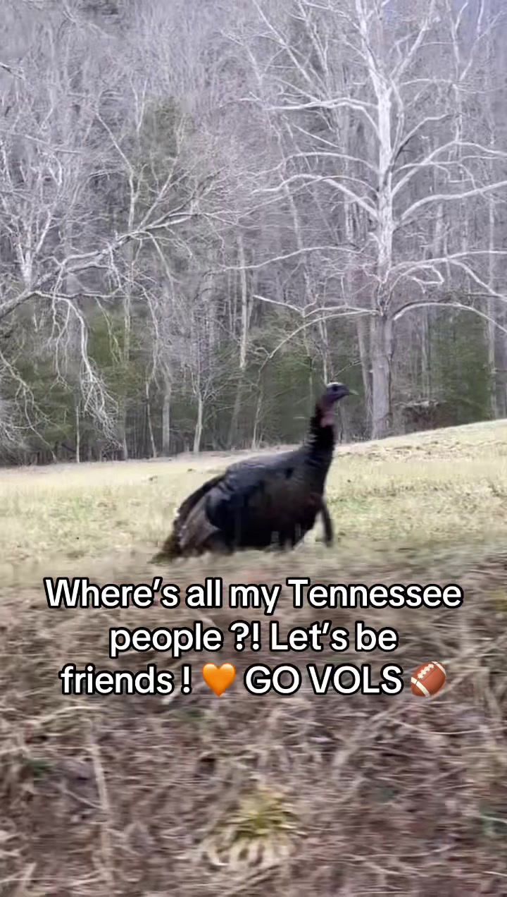 @girlmom25