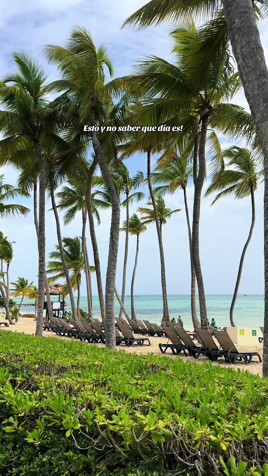 @therivazlife