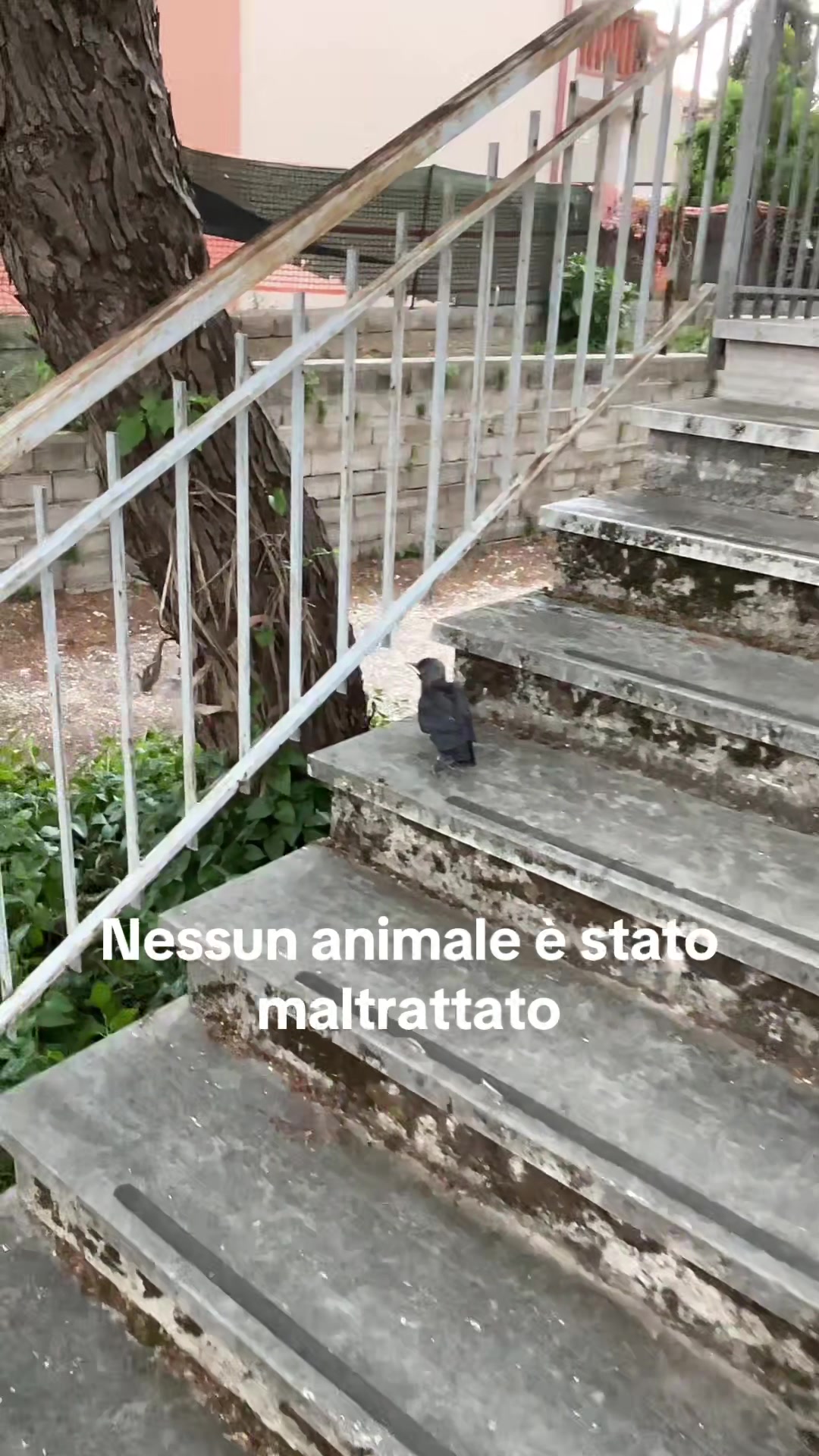@Paolo Melappioni