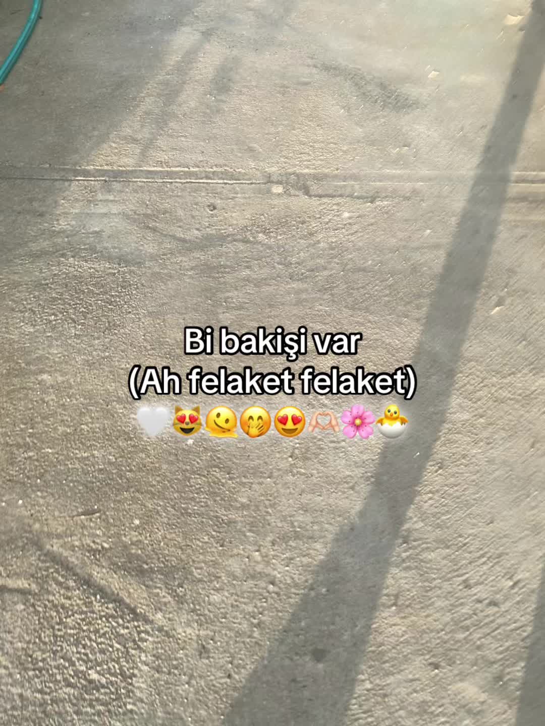 @ℬℯ𝑔ℴ𝓈𝒽𖣂🇹🇷