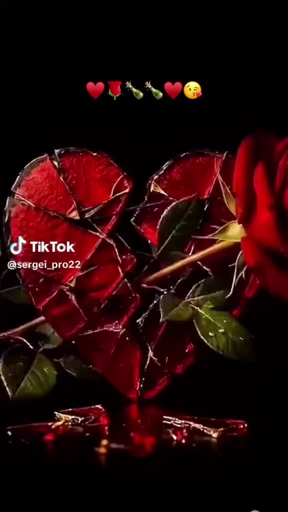 @user DomenicoMiky