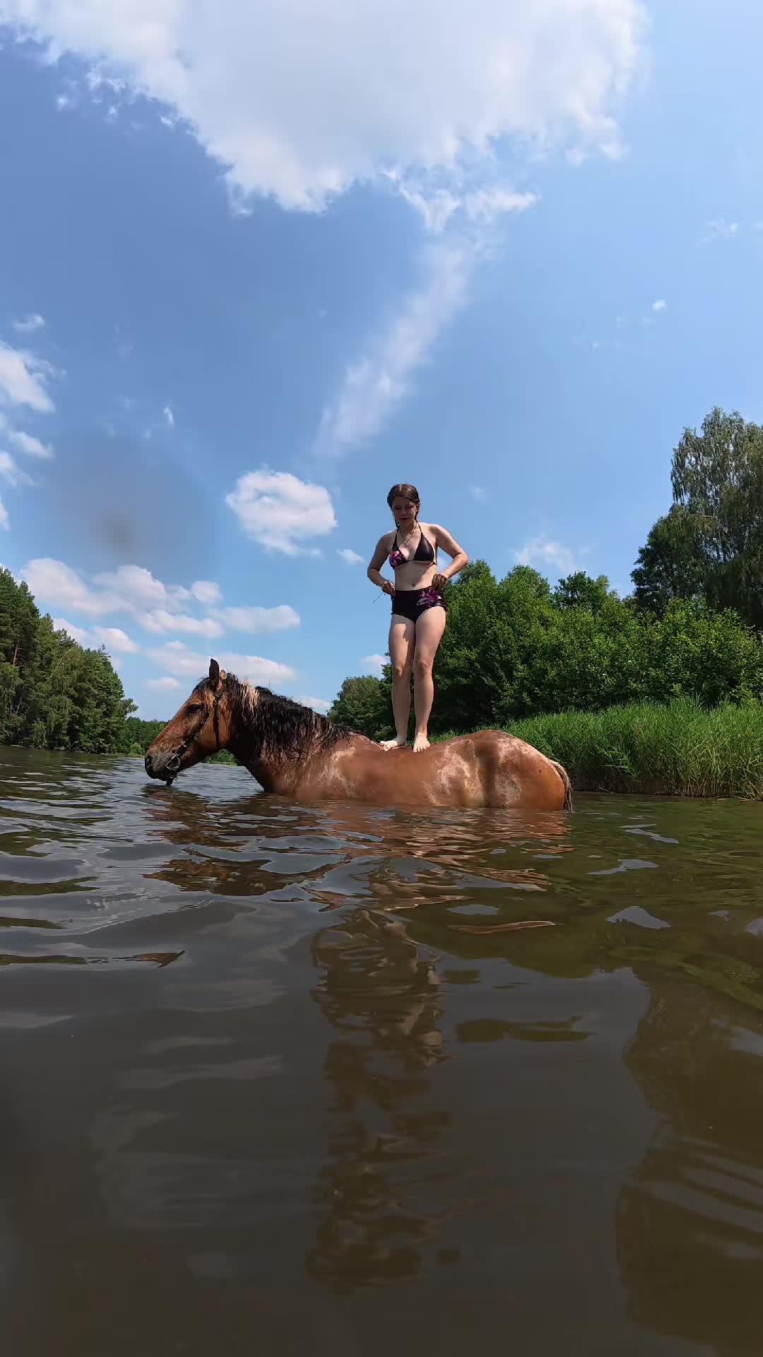 @Stajnia Pod Kasztanem 🇵🇱