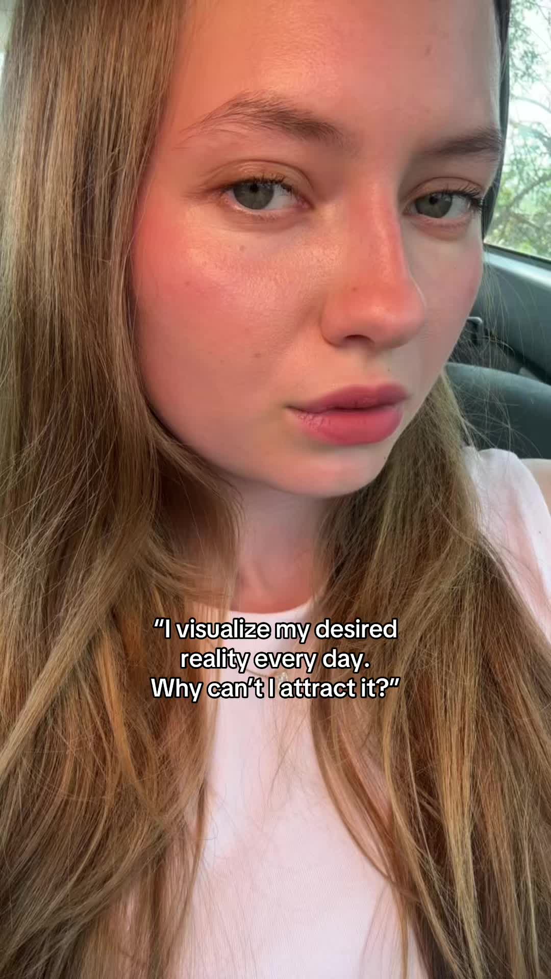 @dashassanctuary
