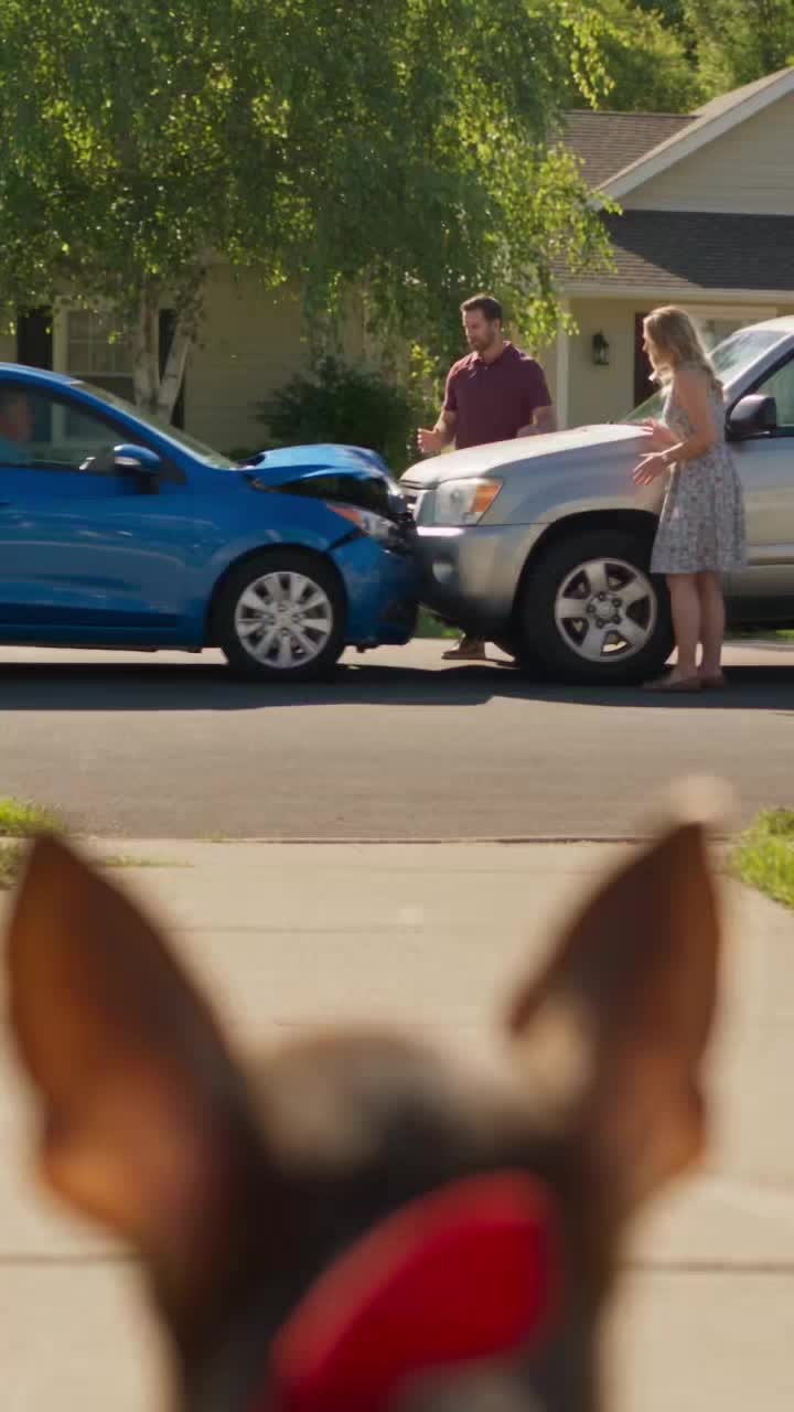 @Hoyas Insurance