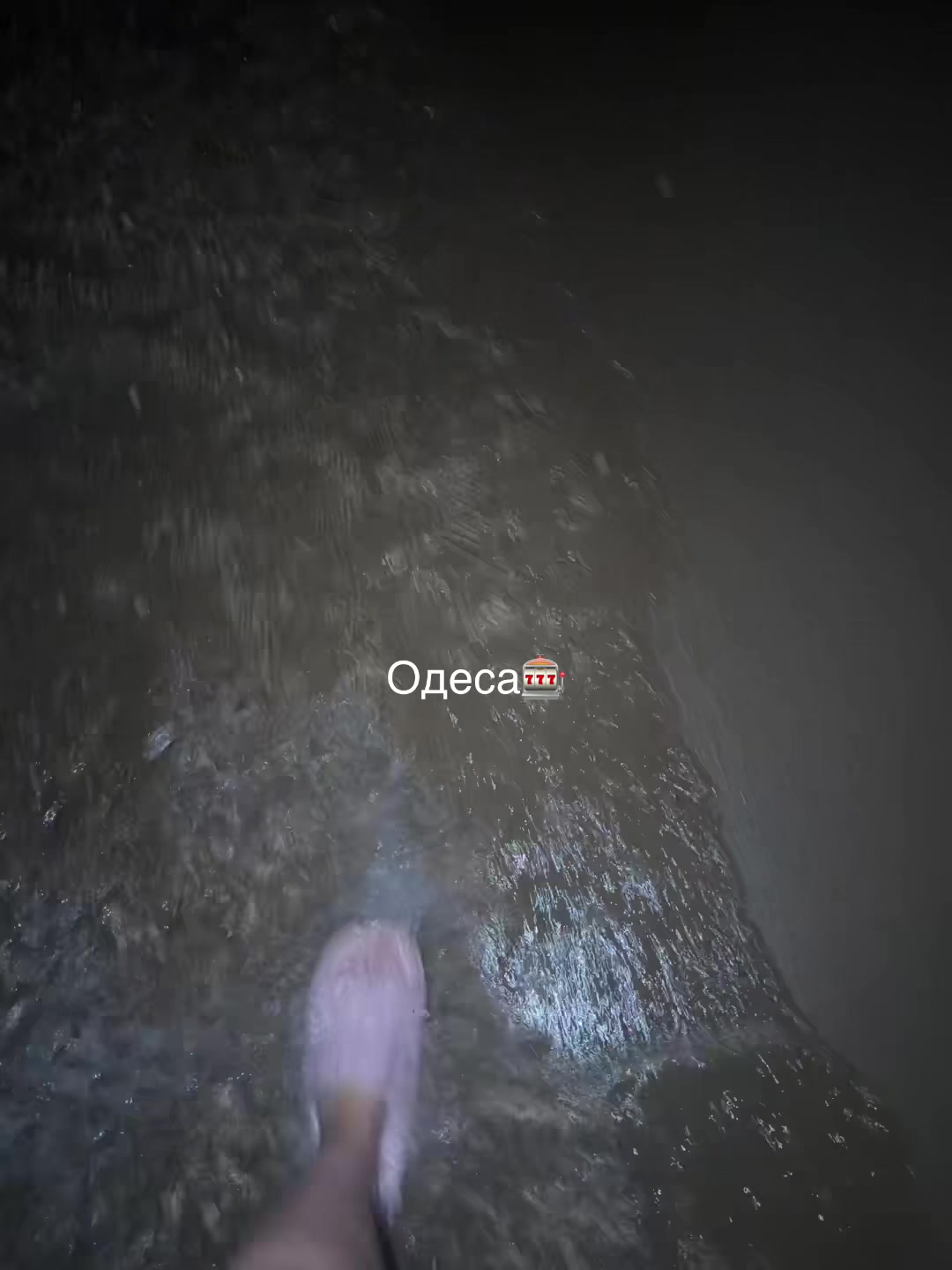 @лиса🦊