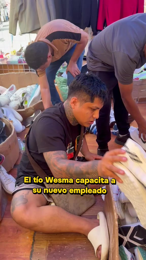 @show & negocios clips