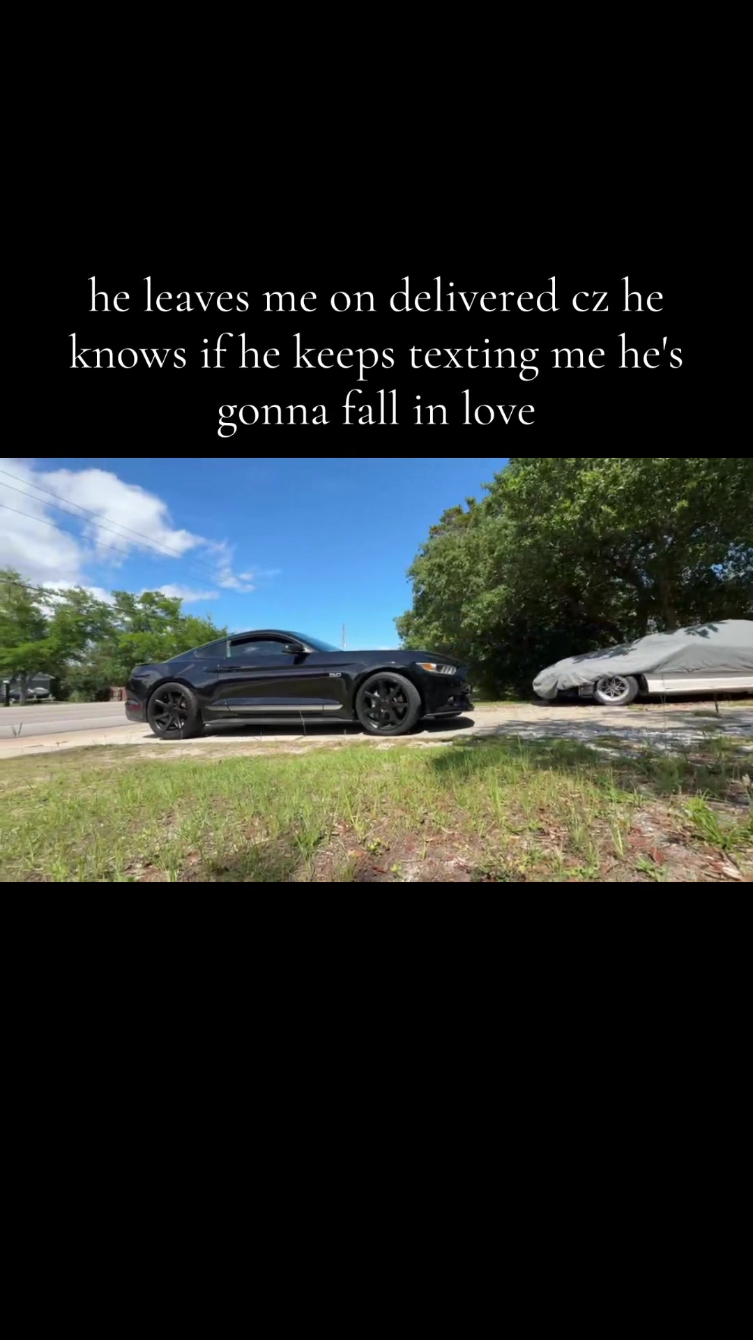 @Suki