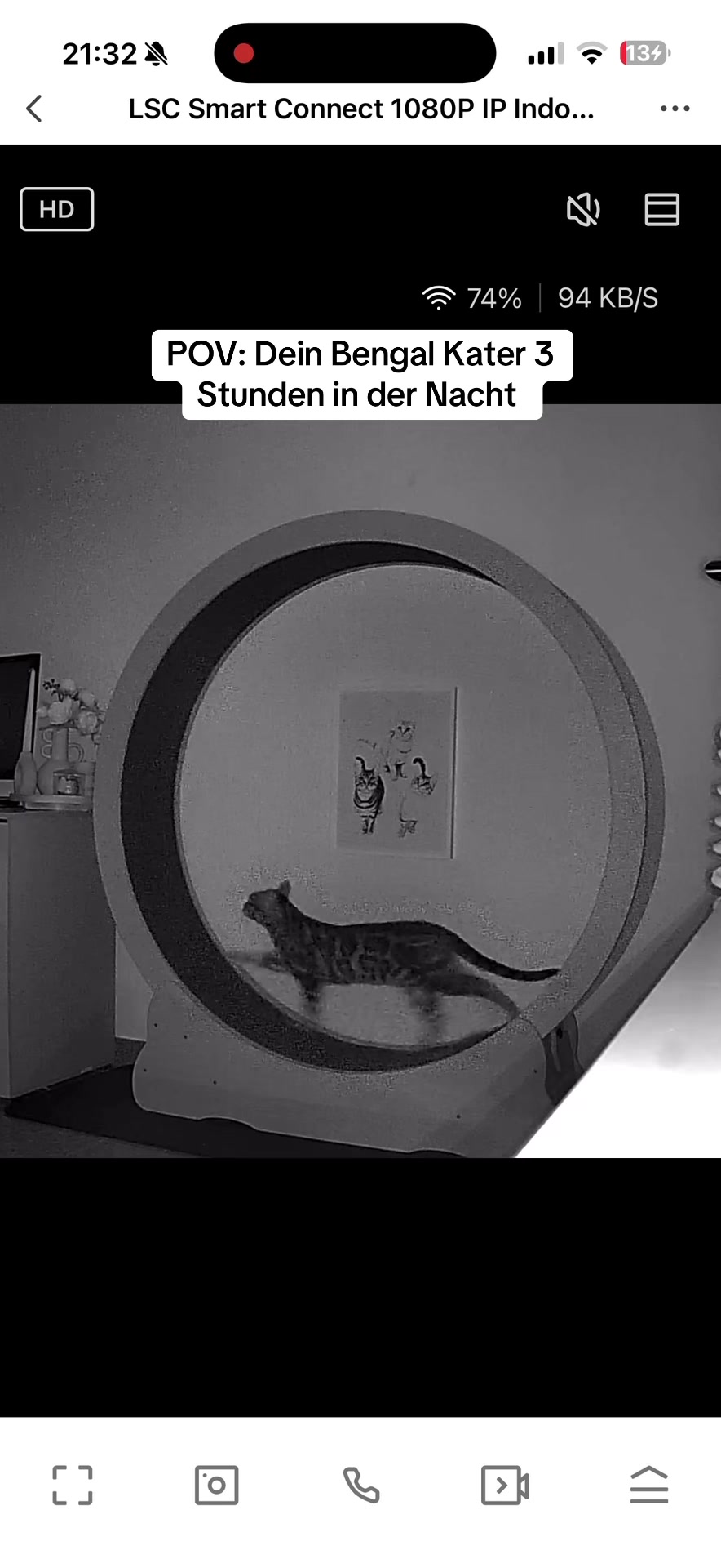 @Cat Mommy 🐆🤎