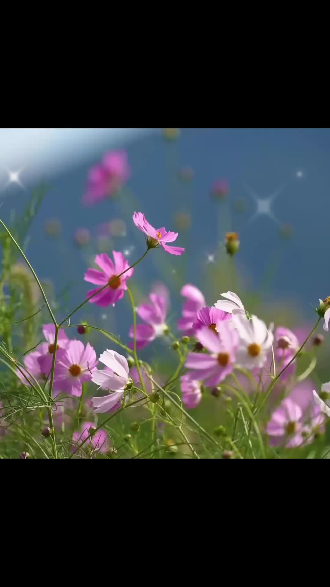 @Luvly