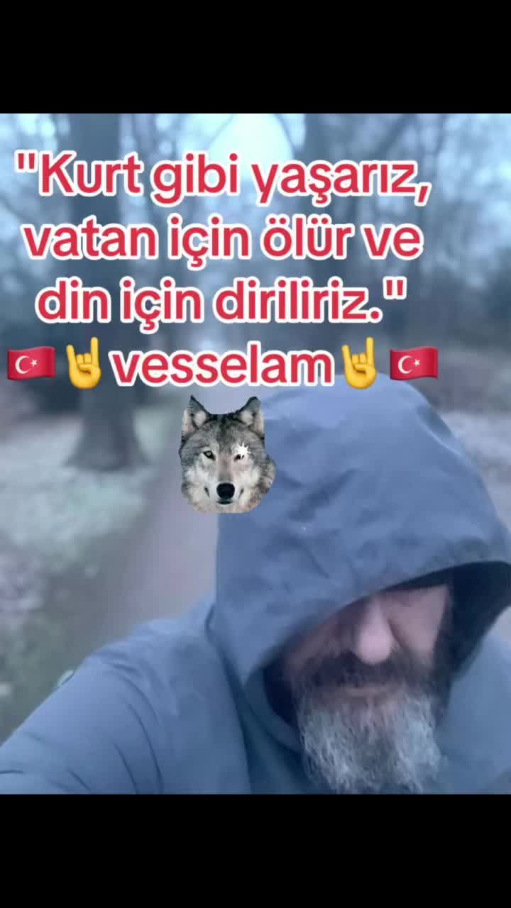 @dilavereryilmaz