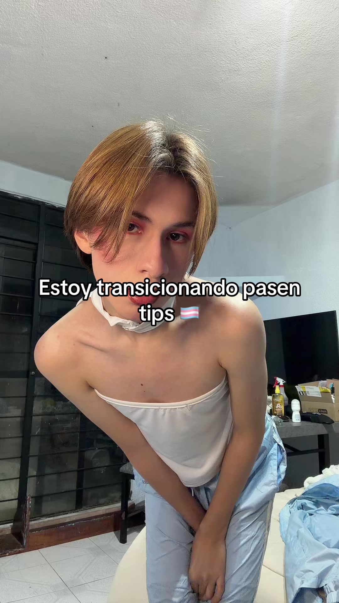 @pollitaloes