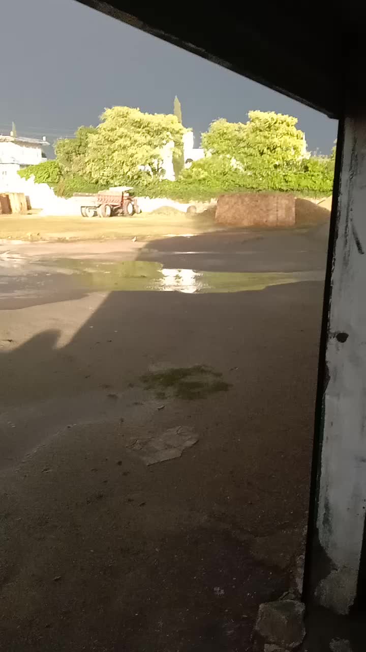 @🅢🅗🅐🅜🅢ᴹᴹᴷ🐬
