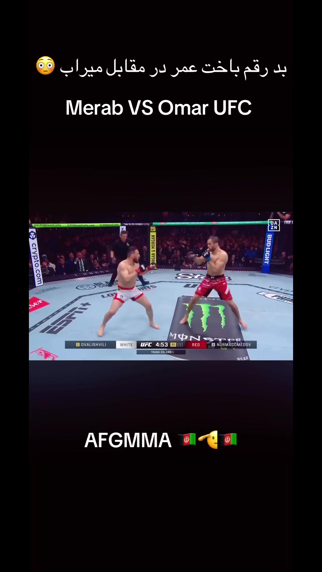 @AFG MMA 🤼🦁🇦🇫🇩🇪Germany