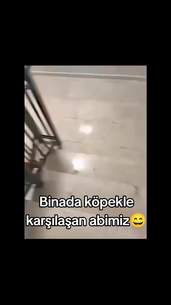 @Kader