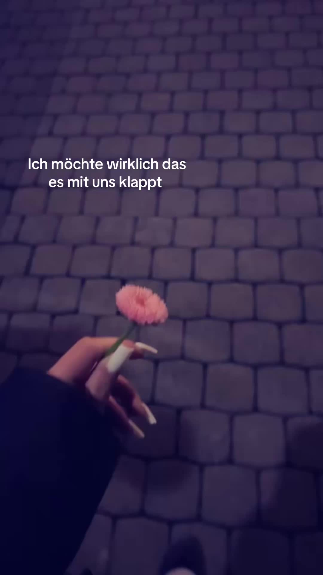 @anna18