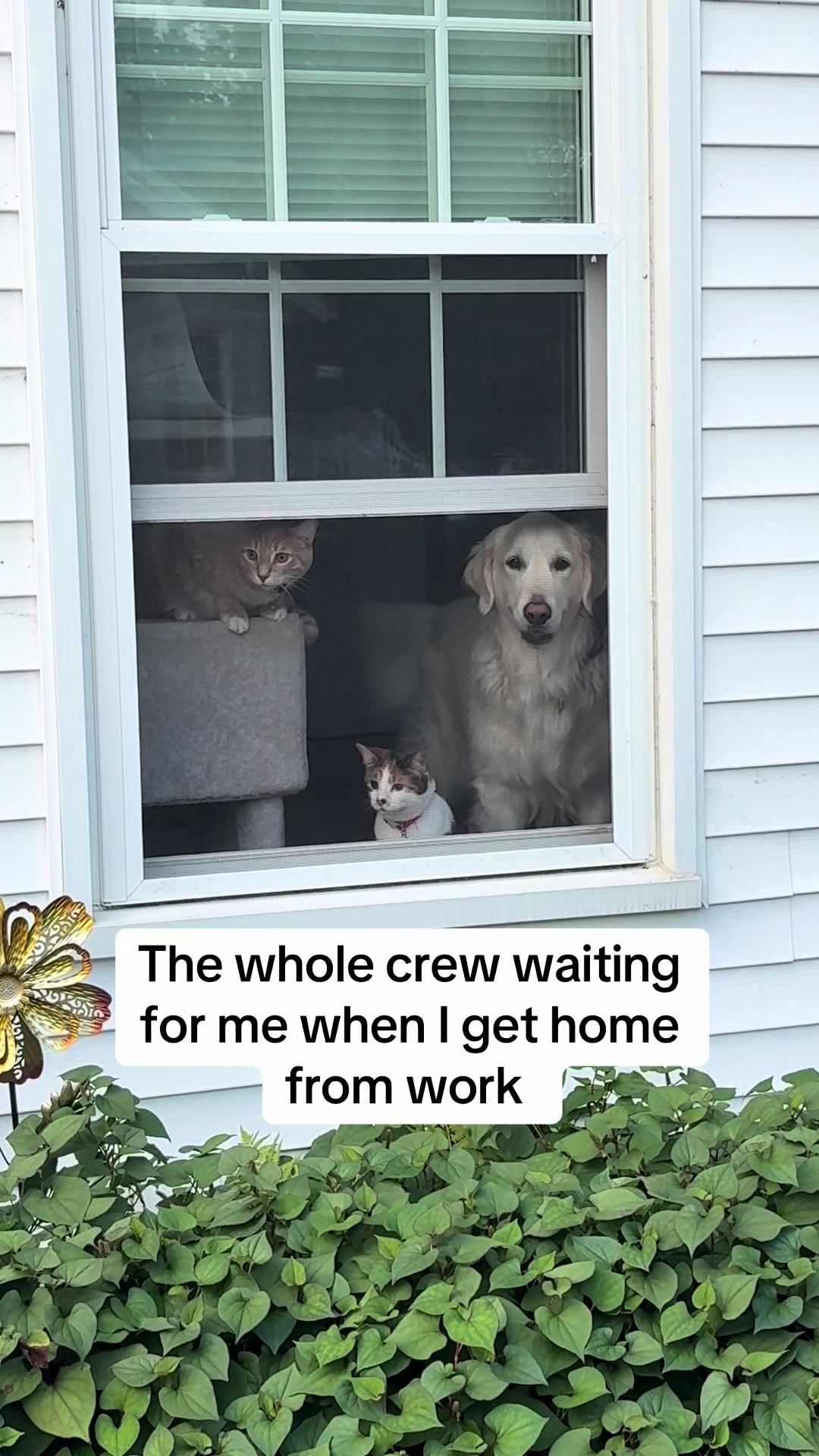@Olivia