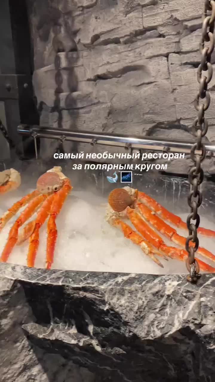 @Intravelfood