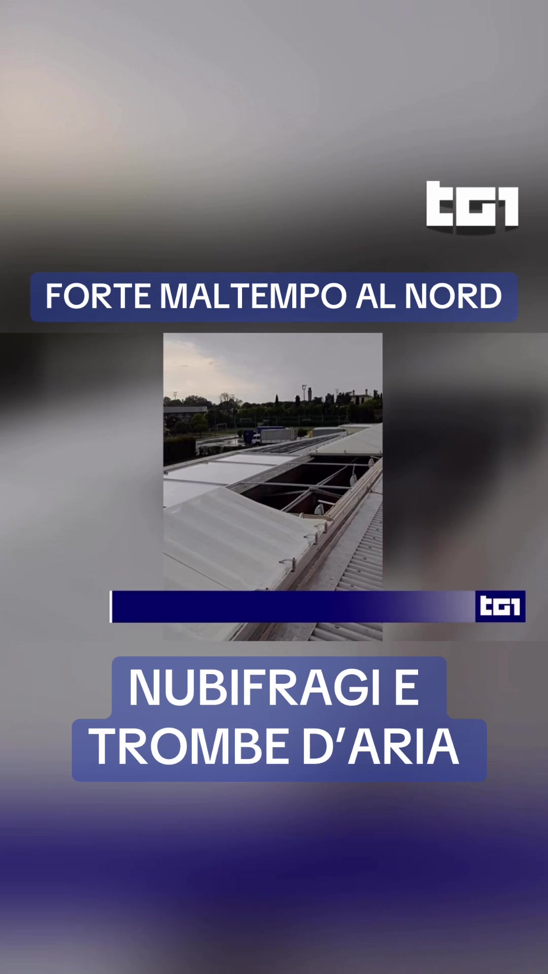 @Tg1Rai