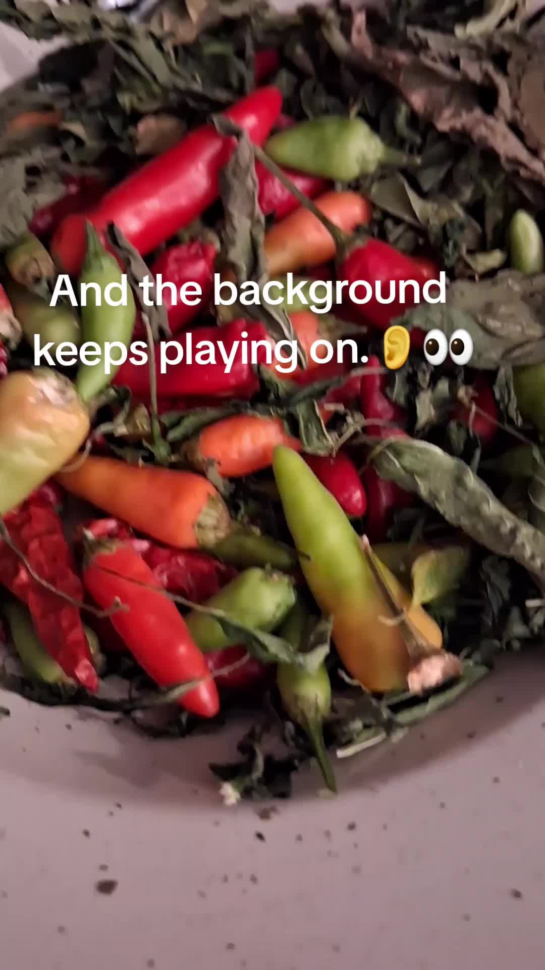 @Vanessa