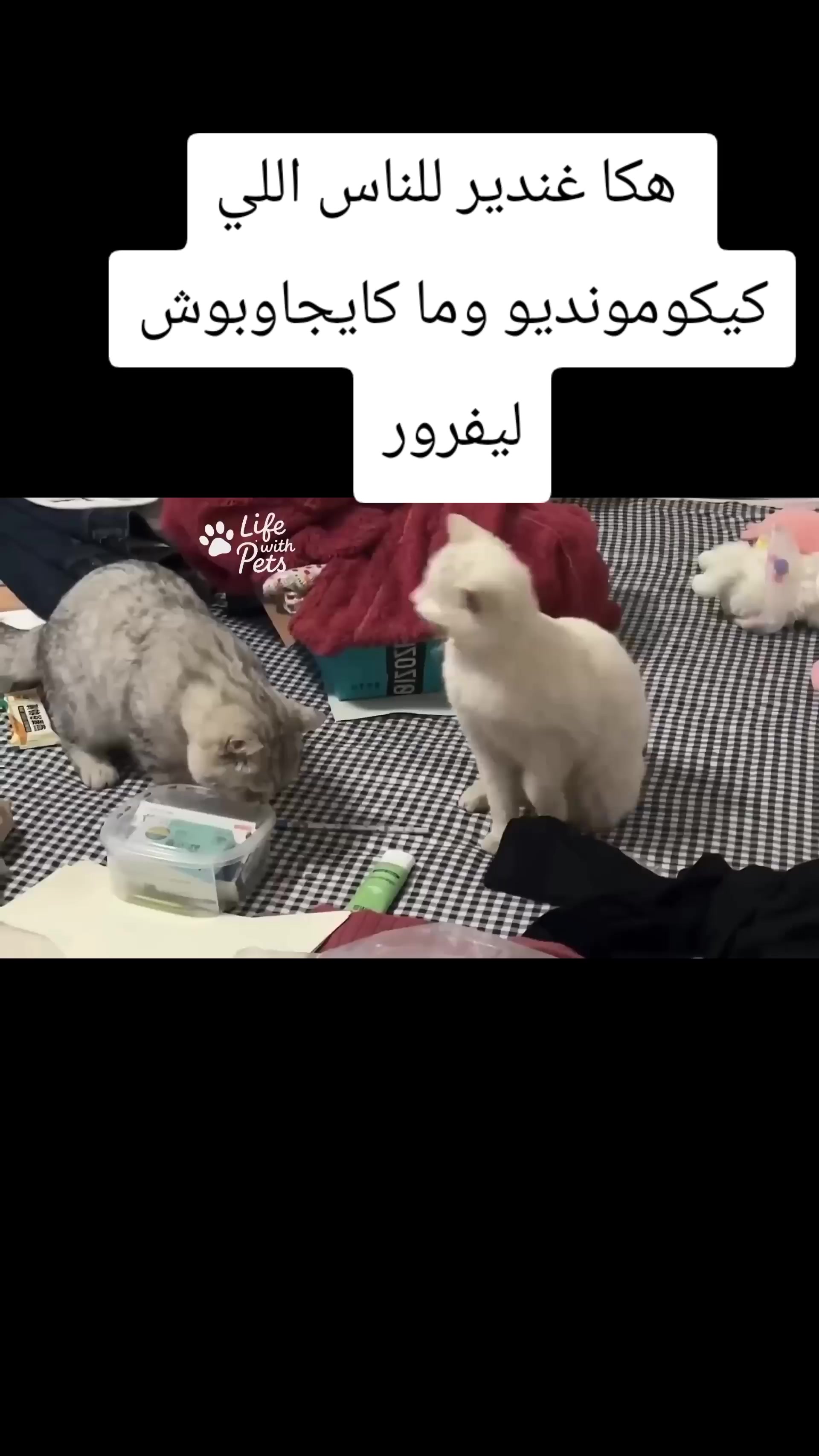 @shoup_aicha