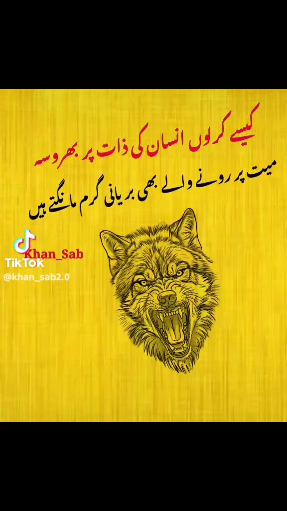 @🌹🐦🩵RAHEEL🌹MUGHAL🌹