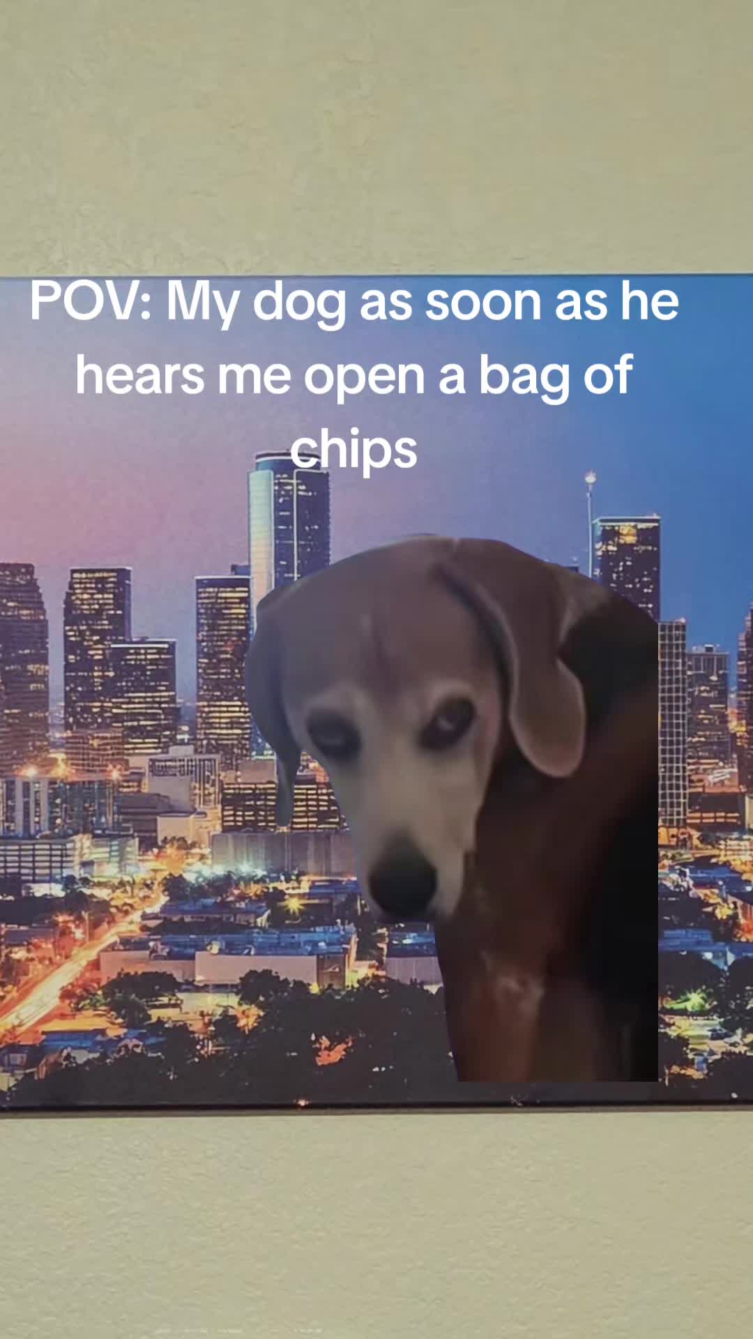 @manuel713htx