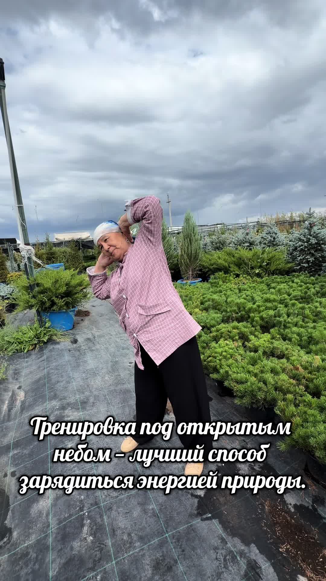 @Tamara Tiktok
