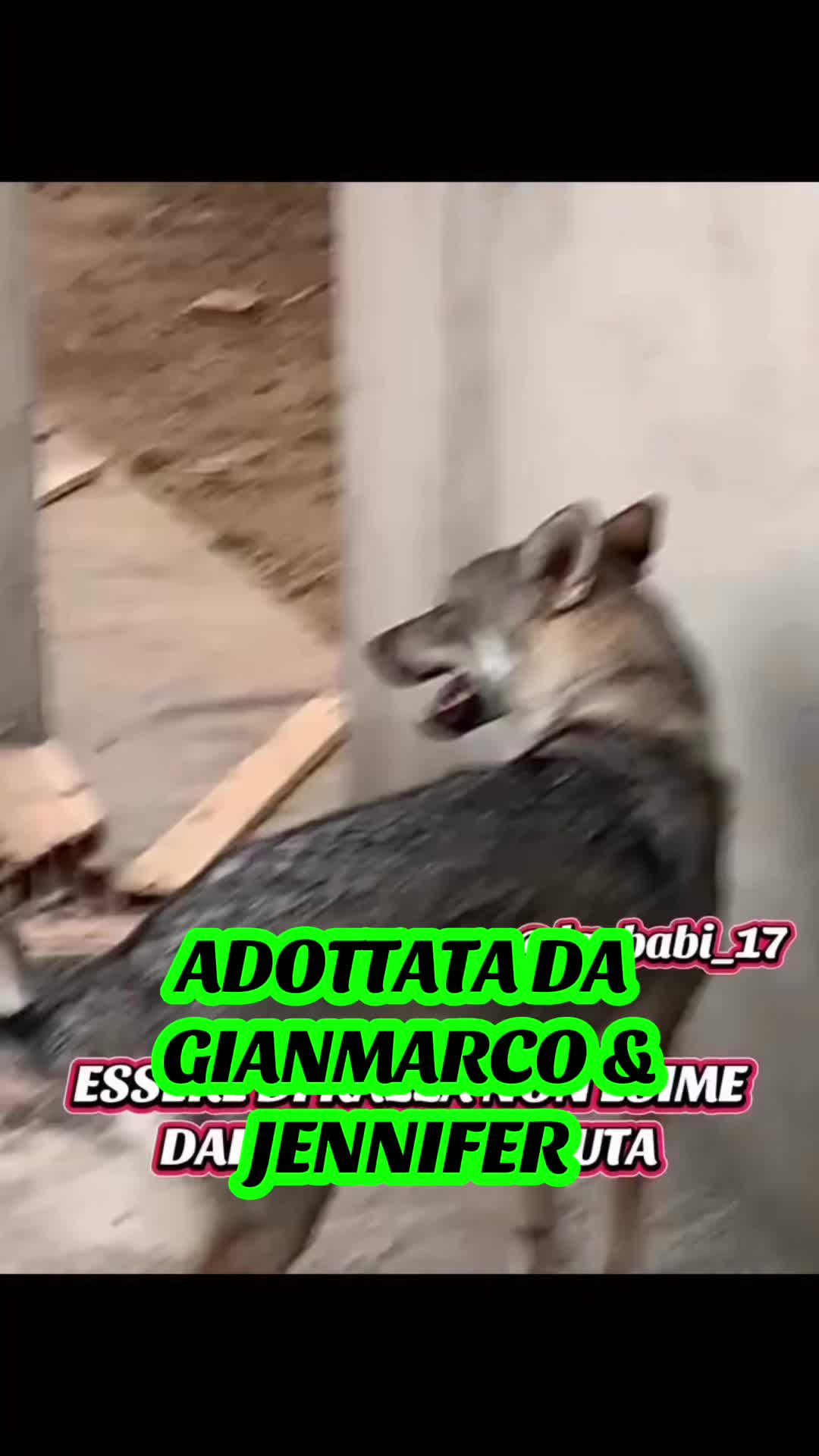 @la_babi_17