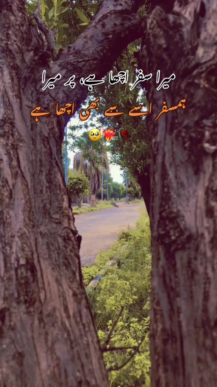 @🍃”LaDi”🖤