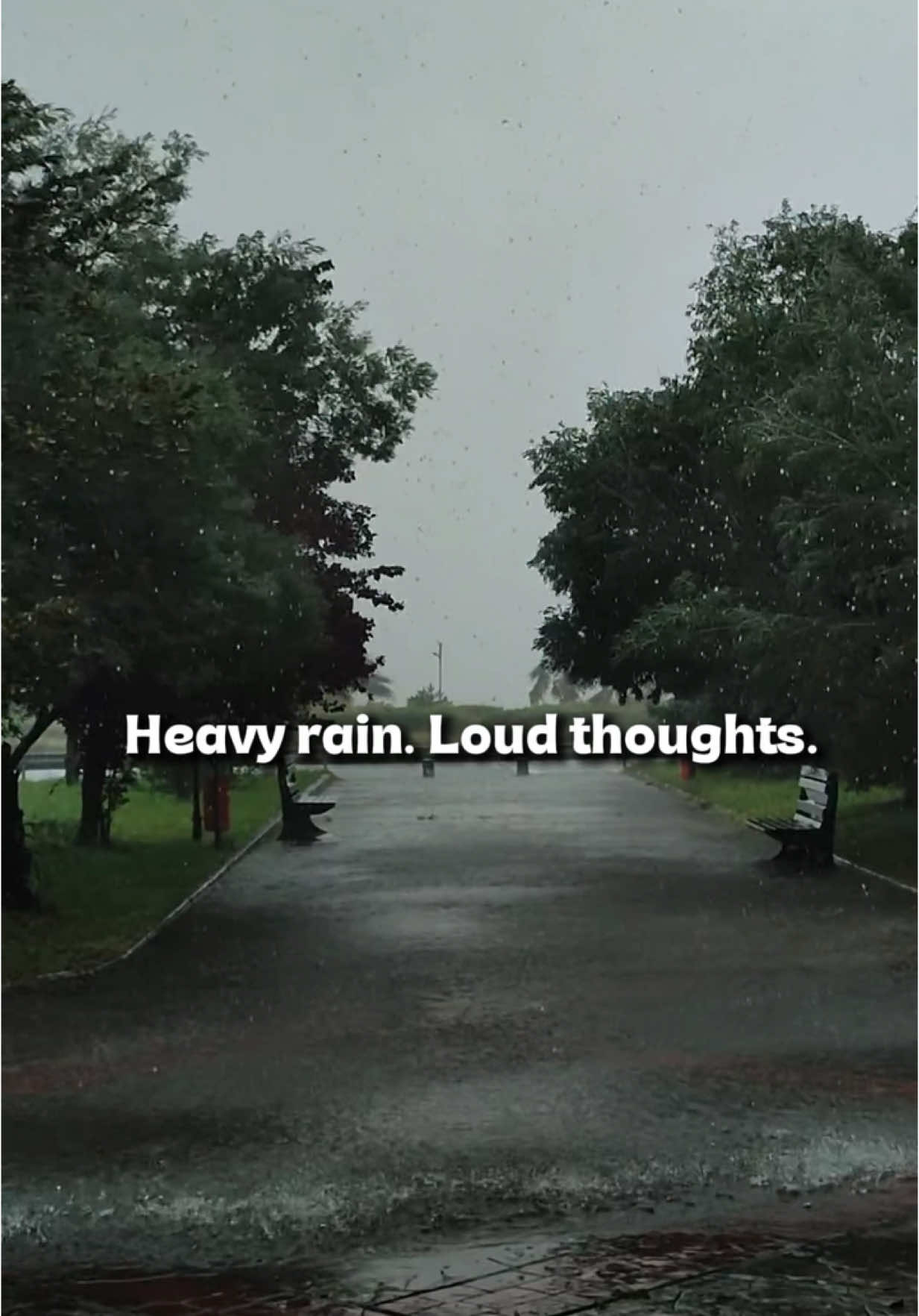 @rainsignal247