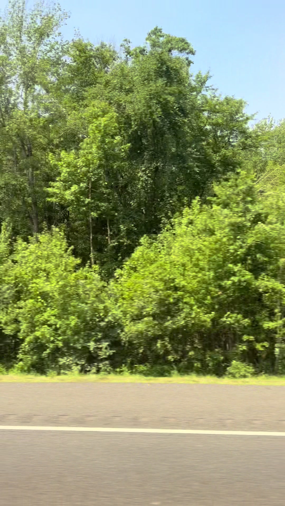@𝐿𝒾𝓈𝒶𝓃𝓃𝑒