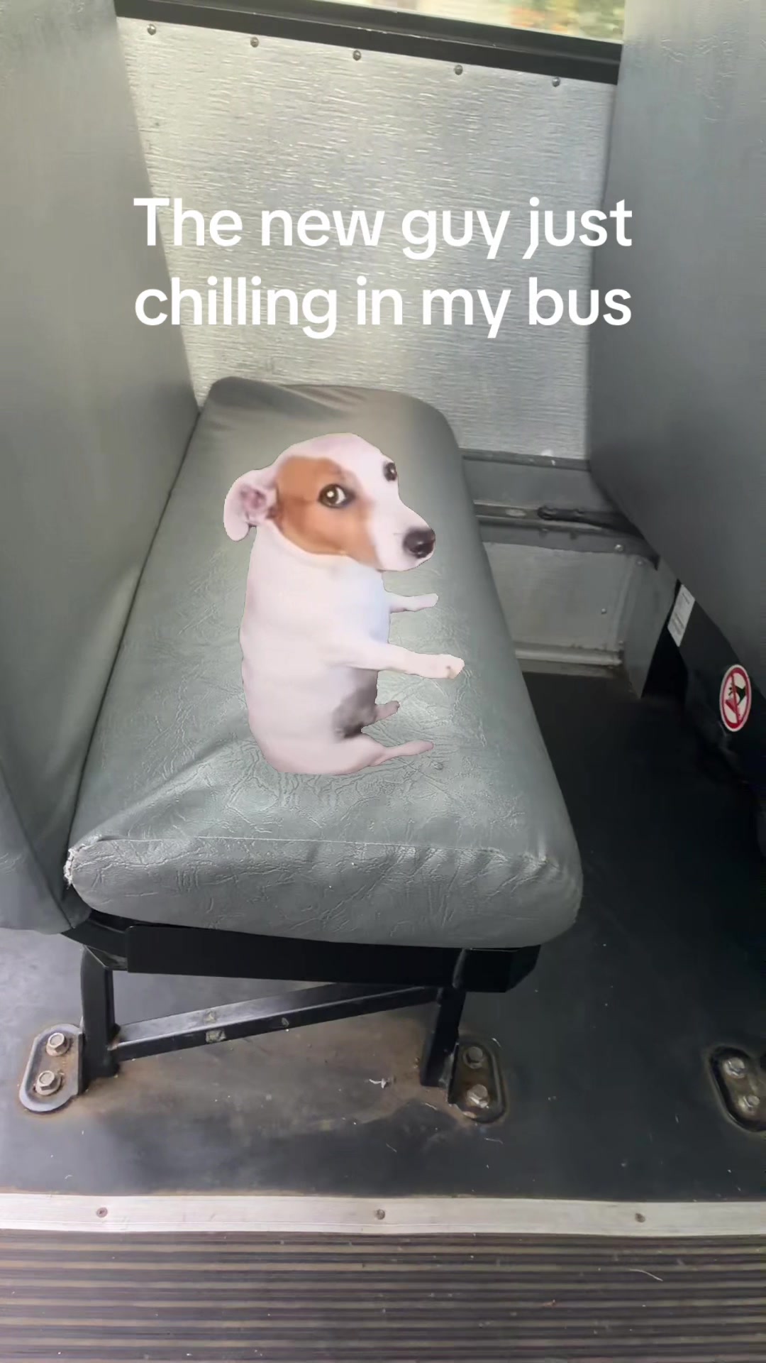 @agfhdjrjf