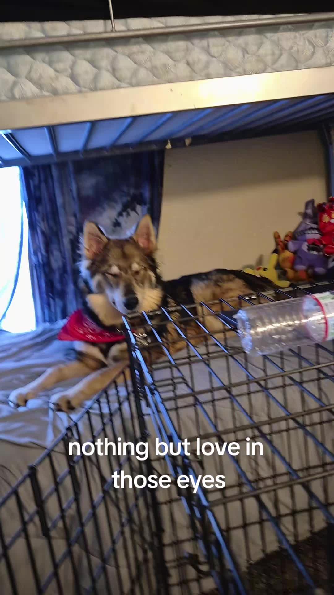 @slobzz