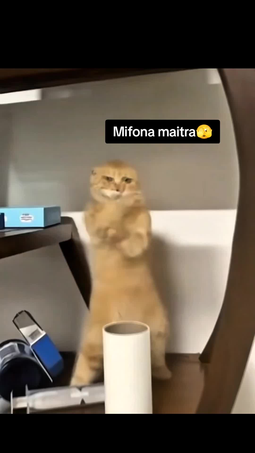 @Akuma